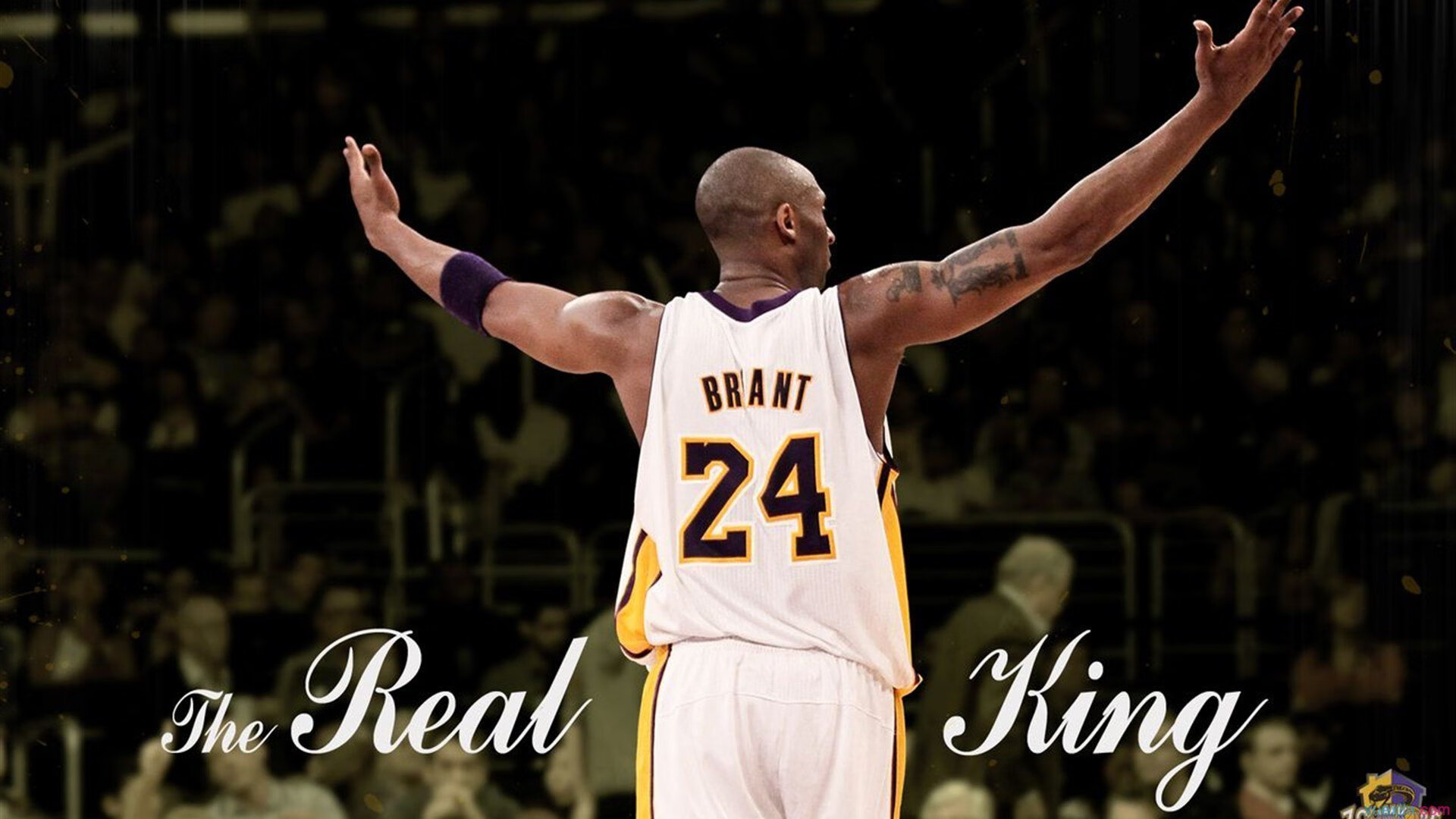 足球比赛直播观看人数统计，如何观看一场足球赛