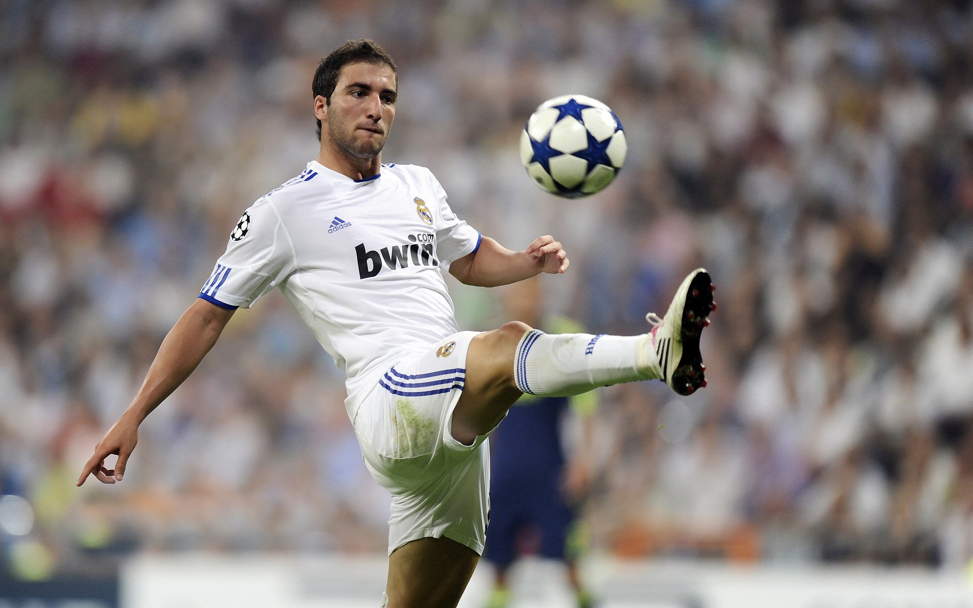 世界拳击职业联赛中国站 重量级拳王三回合TKO对手捍卫金腰带,世界拳击理事会重量级拳王争霸赛